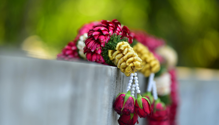 辅助开挂神器“微乐跑得快小程序必赢神器”(透视)其实确实有挂 辅助开挂神器“微乐跑得快小程序必赢神器”(透视)其实确实有挂