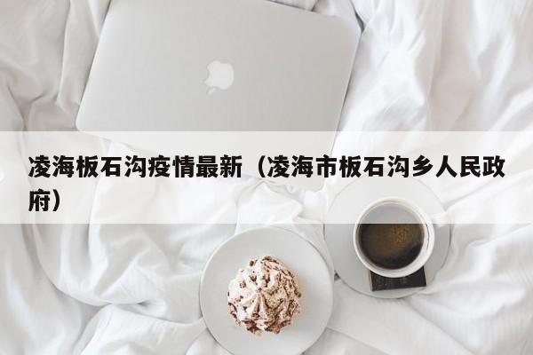凌海板石沟疫情最新(凌海市板石沟乡人民政府)